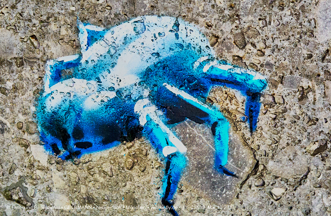 21.03.2017 - Abrissbaustelle Quiddezentrum in Neuperlach